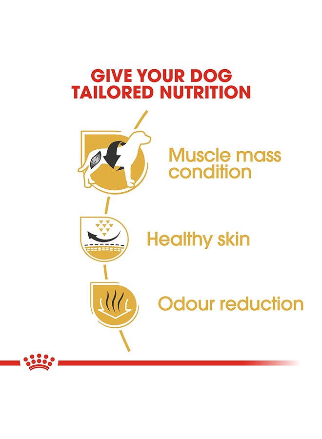 ROYAL CANIN Breed Health Nutrition French Bulldog Adult Multicolour 3kg - Image 4