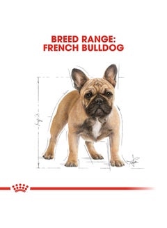 Breed Health Nutrition French Bulldog Adult Multicolour 3kg - v1632673339/N29096238A_5