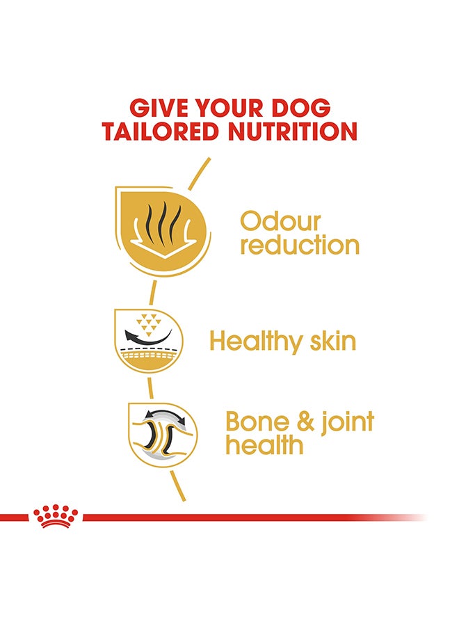 رويال كانين طعام صحي لتغذية الكلاب البالغة من سلالة البلدوغ 12كيلوجرام - Image 4