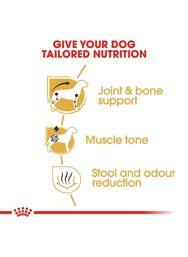 رويال كانين غذاء صحي لنسل داتشند- الكبار 1.5كيلوجرام - Image 4