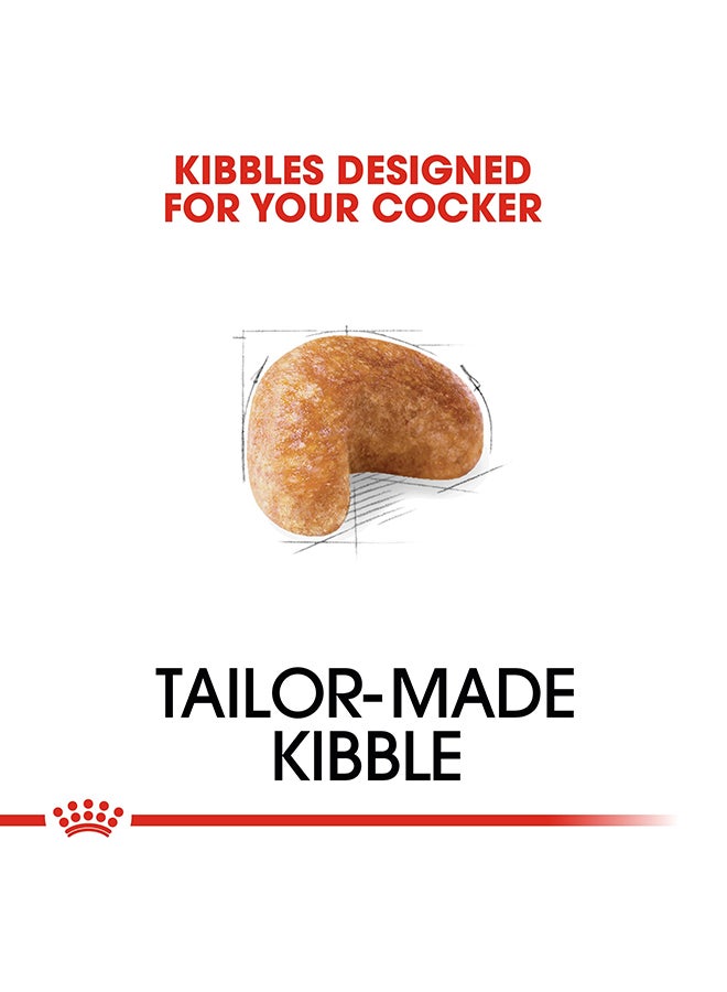 رويال كانين غذاء صحي لفصيلة كوكر- الكبار 3كيلوجرام - Image 3