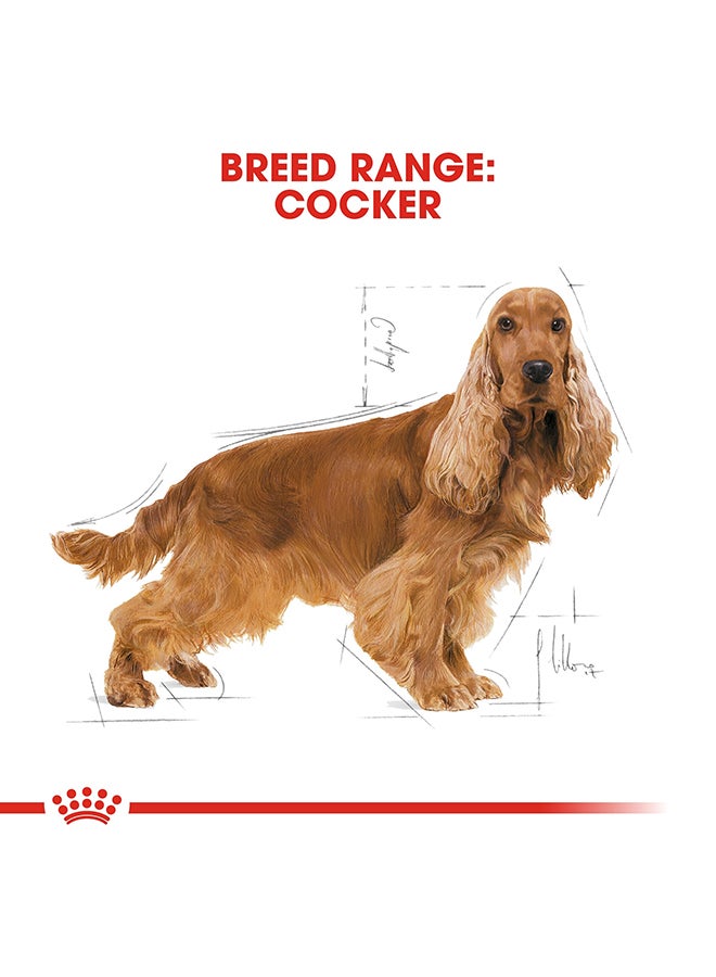 رويال كانين غذاء صحي لفصيلة كوكر- الكبار 3كيلوجرام - Image 5