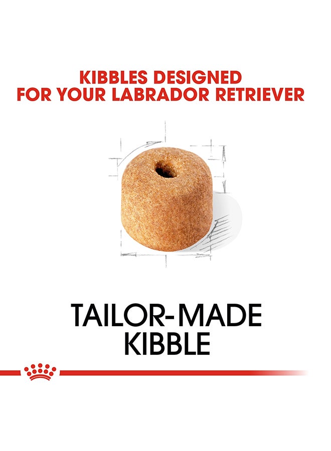 رويال كانين لابرادور ريتريفر البالغة 3كيلوجرام - Image 3