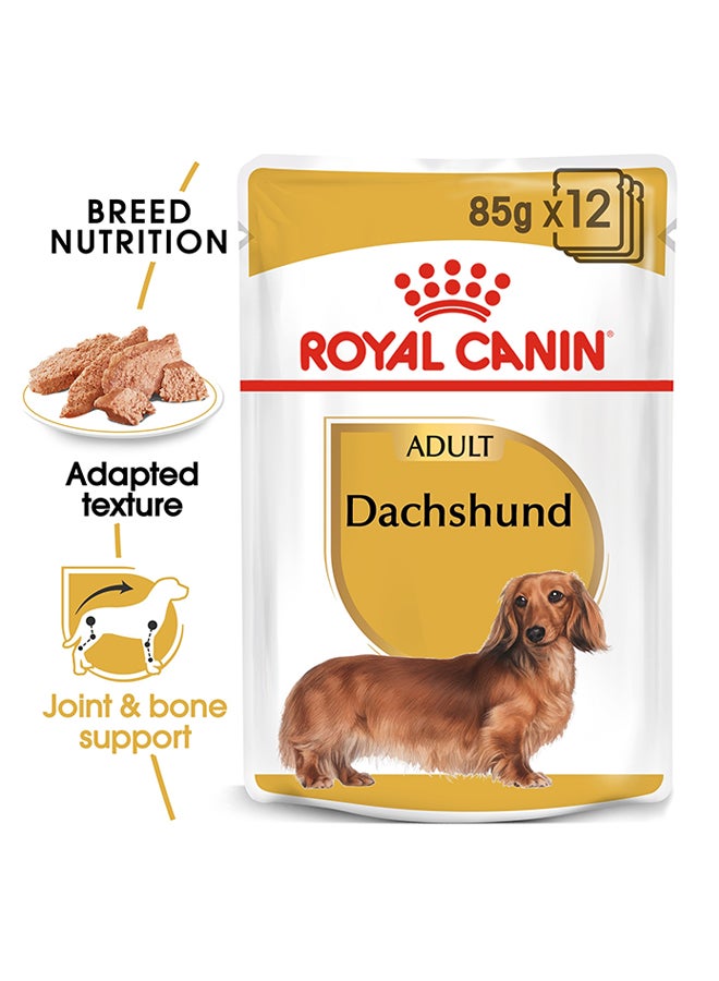 رويال كانين مجموعة أكياس طعام رطب للتغذية الصحية للكلاب البالغة من سلالة داشهند، 85 جراماً، من 12 كيساً 85جرام - Image 2