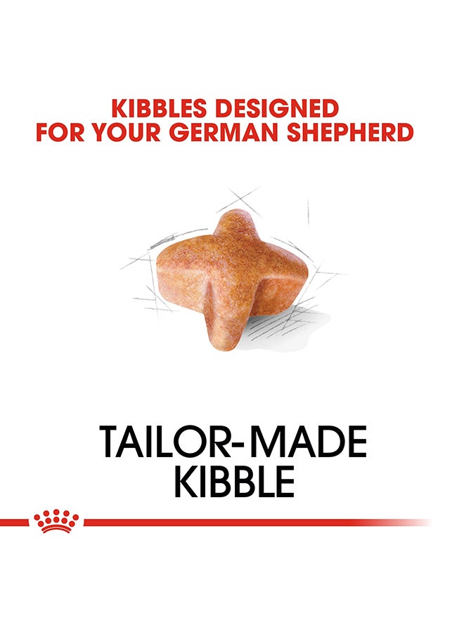 رويال كانين غذاء صحي لسلالة كلاب جيرمان شيبرد البالغة 11كيلوجرام - Image 3