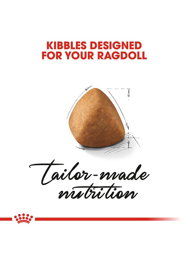 رويال كانين طعام قطط مخصص للقطط البالغة من سلالة راجدول - 2 كجم - Image 3