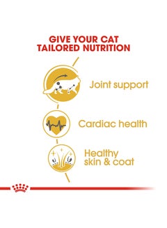 ROYAL CANIN Feline Breed Nutrition Maine Coon Adult 2kg  - Image 4