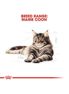 ROYAL CANIN Feline Breed Nutrition Maine Coon Adult 2kg  - Image 5
