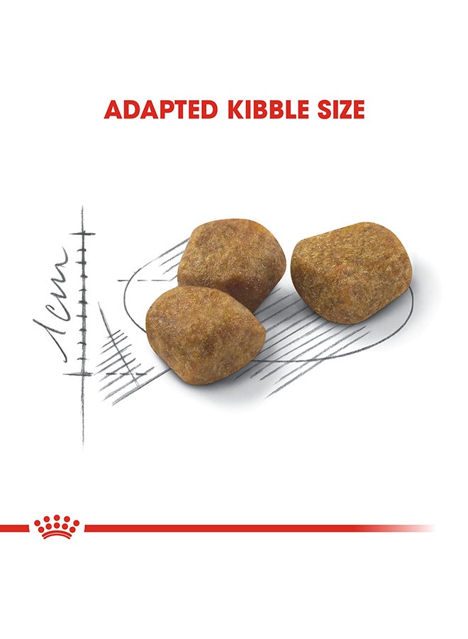 رويال كانين طعام للتغذية الصحية للقطط المنزلية بعمر أكبر من 7 سنوات، 1.5 كجم - Image 3