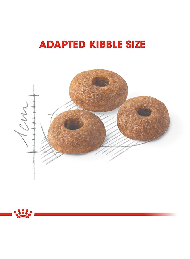 رويال كانين طعام فيت 32 للتغذية الصحية للقطط، وزن 400 جم - Image 3