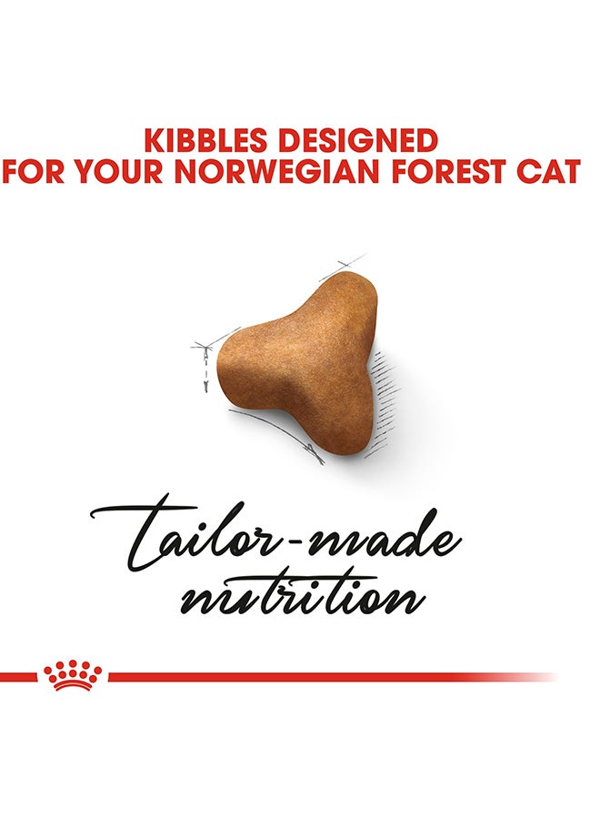 ROYAL CANIN Feline Breed Nutrition Norwegian Forest Cat Adult 2kg - Image 3