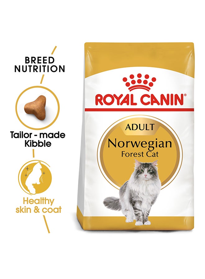 ROYAL CANIN Feline Breed Nutrition Norwegian Forest Cat Adult 2kg - Image 2
