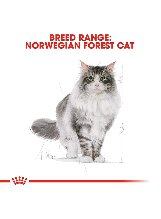 ROYAL CANIN Feline Breed Nutrition Norwegian Forest Cat Adult 2kg - Image 5