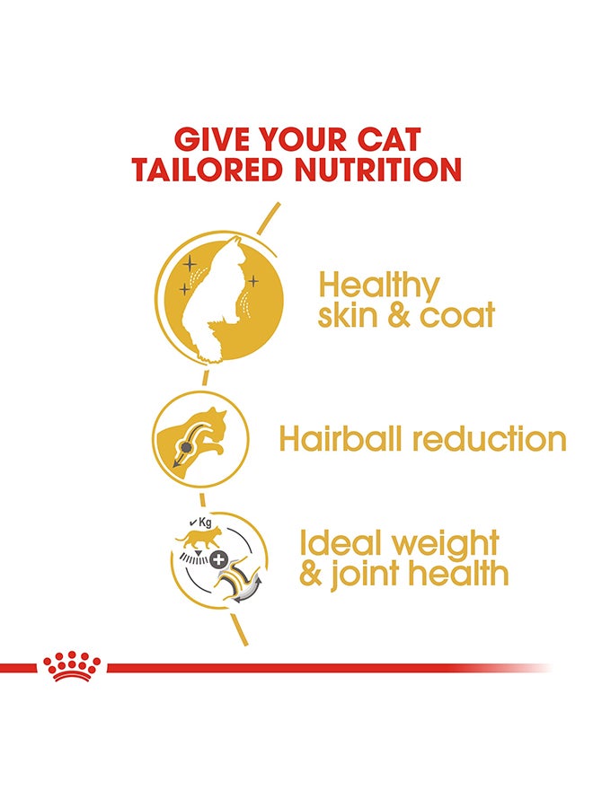 ROYAL CANIN Feline Breed Nutrition Norwegian Forest Cat Adult 2kg - Image 4