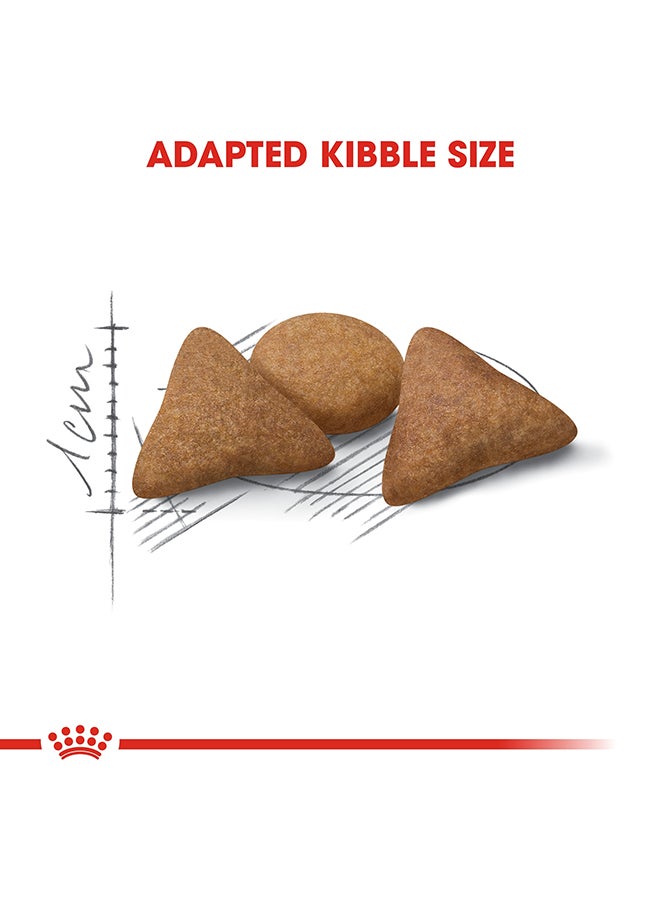 ROYAL CANIN Feline Health Nutrition Indoor Appetite Control 2kg  - Image 3
