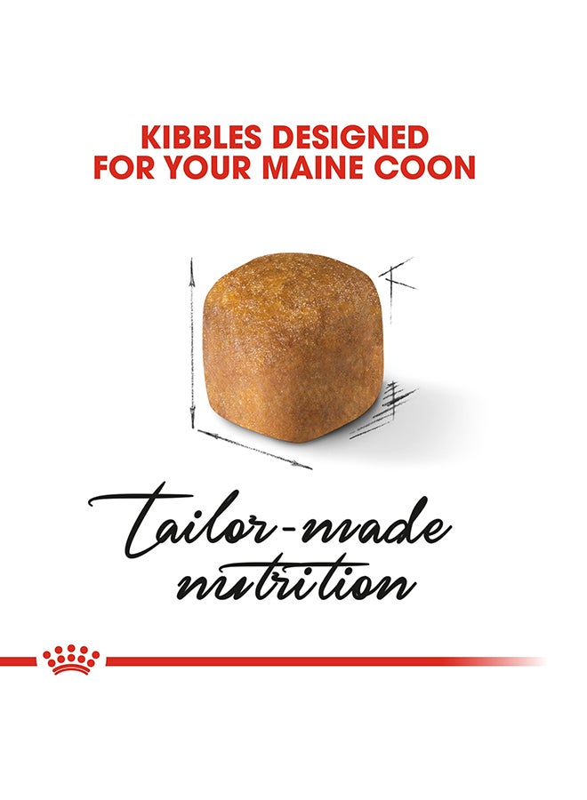 ROYAL CANIN - Feline Breed Nutrition Maine Coon Kitten 2kg - Image 1