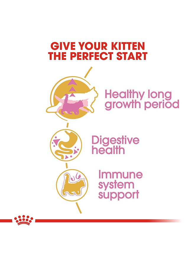 ROYAL CANIN - Feline Breed Nutrition Maine Coon Kitten 2kg - Image 1