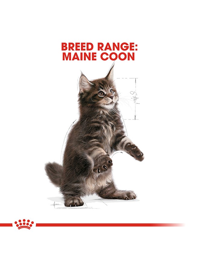 ROYAL CANIN - Feline Breed Nutrition Maine Coon Kitten 2kg - Image 1