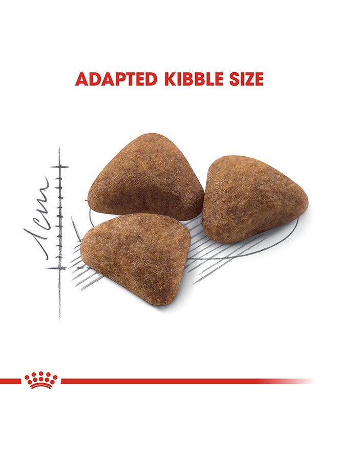 ROYAL CANIN Feline Health Nutrition Indoor 2kg  - Image 3