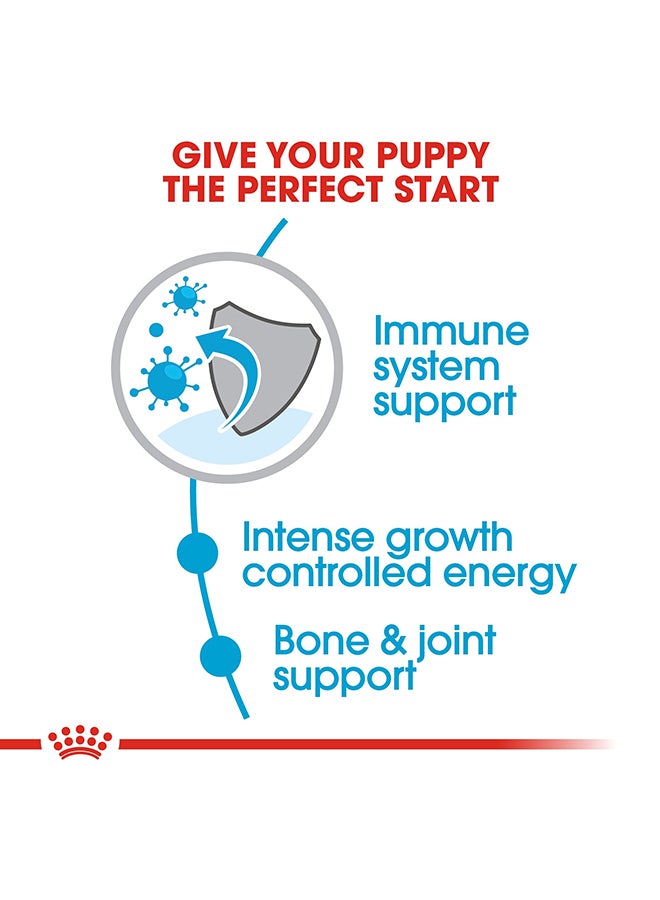 رويال كانين غذاء صحي للجراء الكبيرة 15كيلوجرام - Image 4