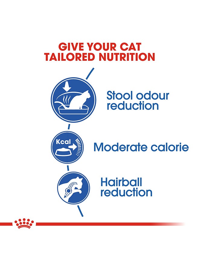 ROYAL CANIN Feline Health Nutrition Indoor 2kg  - Image 4