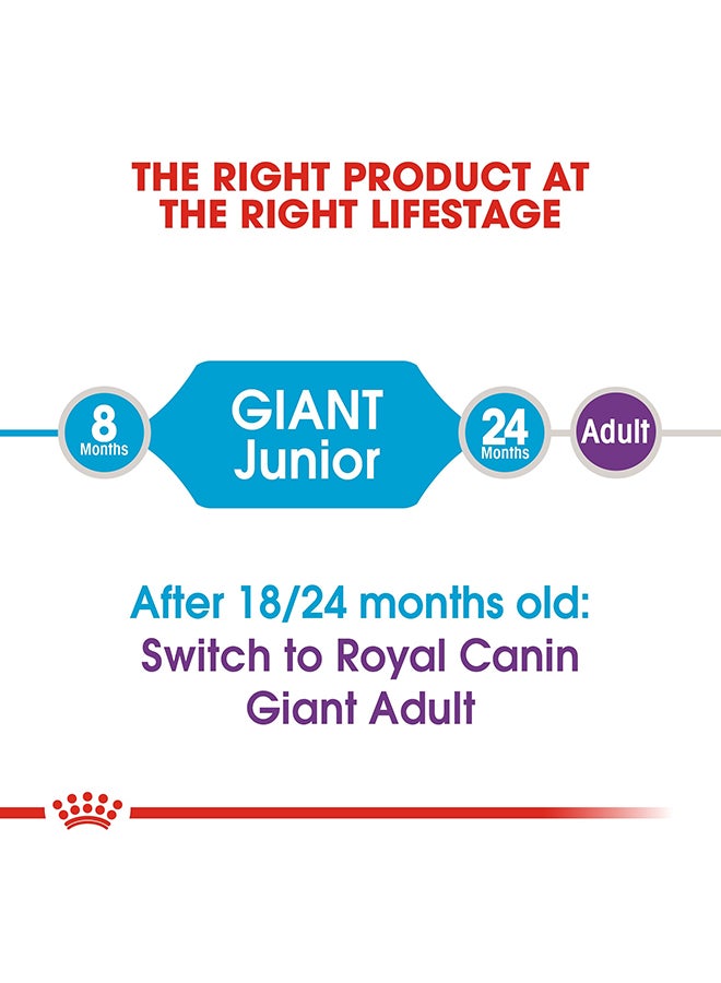 رويال كانين جاينت جونيور بني 15كيلوجرام - Image 5