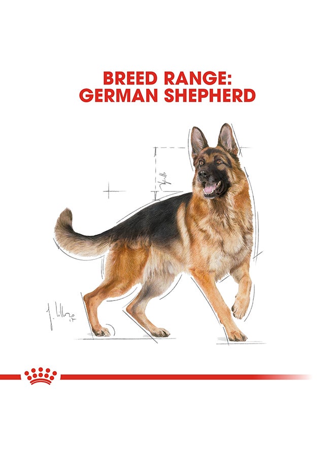 رويال كانين غذاء صحي لسلالة كلاب جيرمان شيبرد البالغة 3كيلوجرام - Image 5