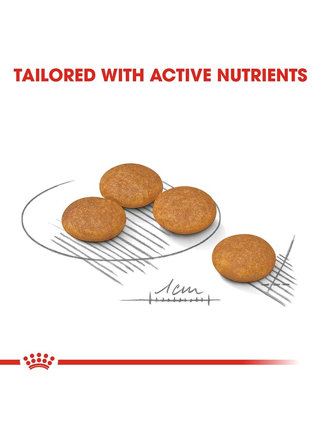 رويال كانين طعام العناية من كانين ديرماكومفورت لتغذية الكلاب صغيرة الحجم، 3 كجم - Image 3