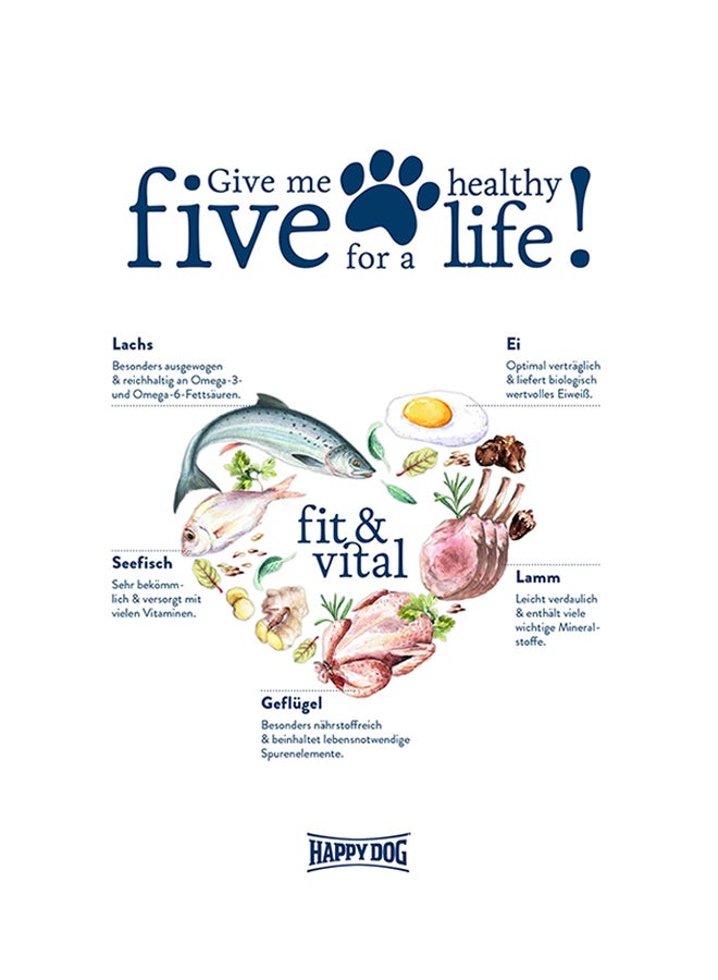 HAPPY DOG Fit And Vital Dry Food Multicolour 1kg - Image 4