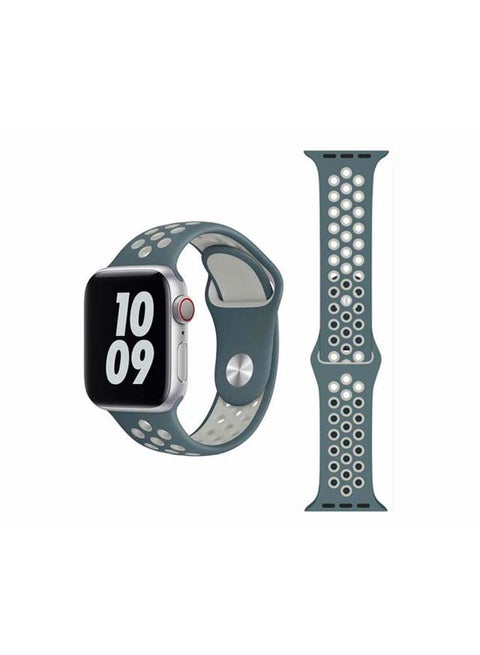 Replacement Band For Apple Watch Series 1/2/3/4/5/6/SE 40/38mm Hasta/Light Silver