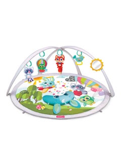 WinFun Baby space Activity Gym 
