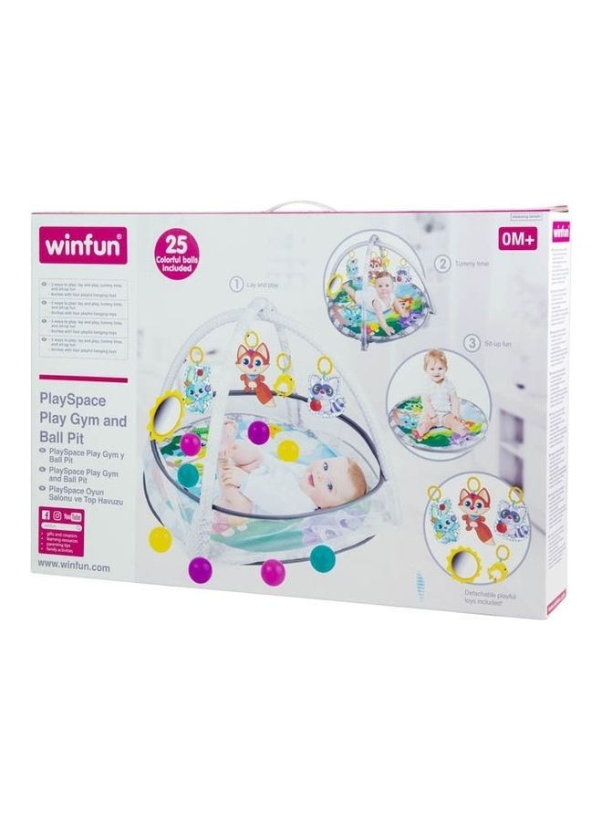 WinFun Playspace Play gym and Ball pit