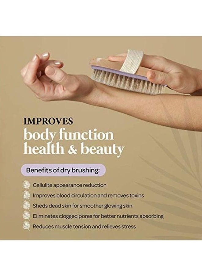 MainBasics Natural Dry Bristle Exfoliating Body Brush For Lymphatic Drainage Brown 18.3x16.3x3.3cm - Image 3
