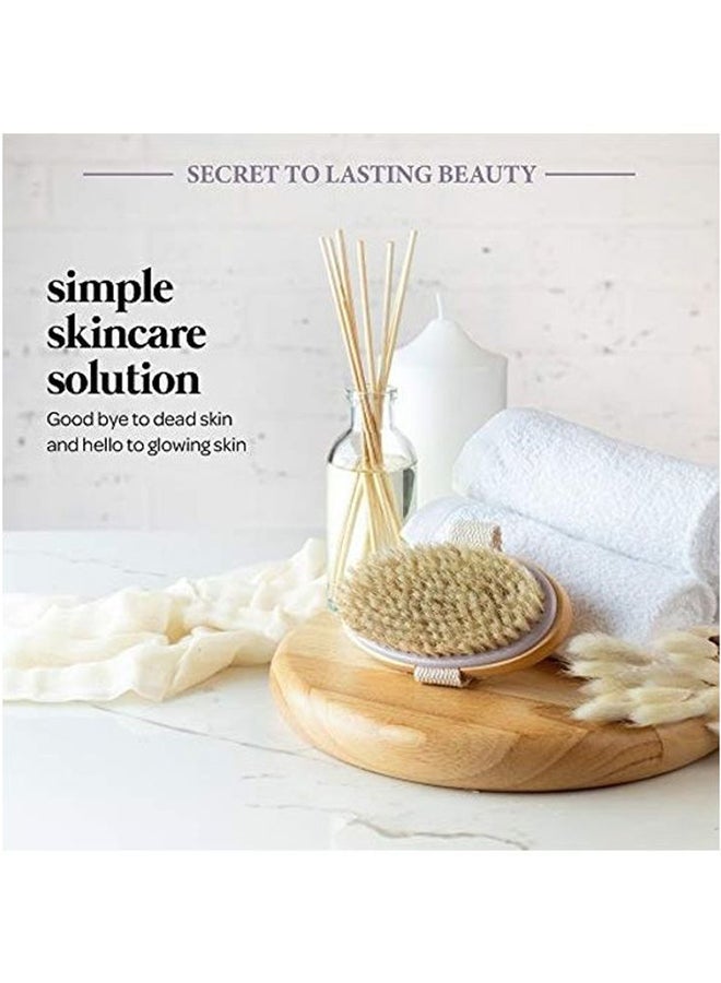 MainBasics Natural Dry Bristle Exfoliating Body Brush For Lymphatic Drainage Brown 18.3x16.3x3.3cm - Image 5