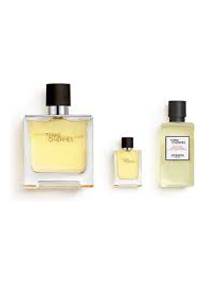 HERMES Terre D' Pure Perfume  Edp 75ml - Image 2