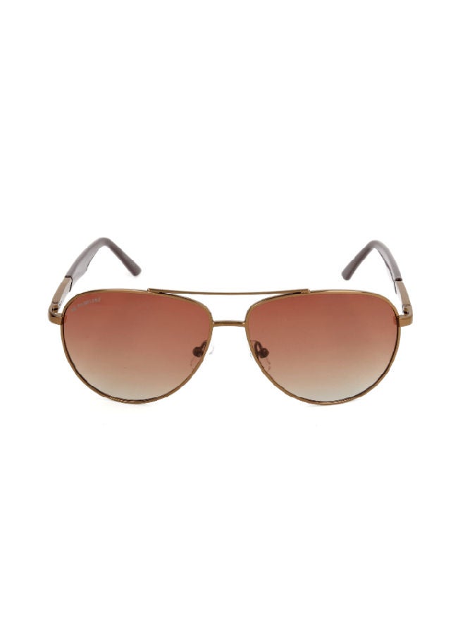 Columbia Aviator Sunglasses - Lens Size: 60mm  - Image 1