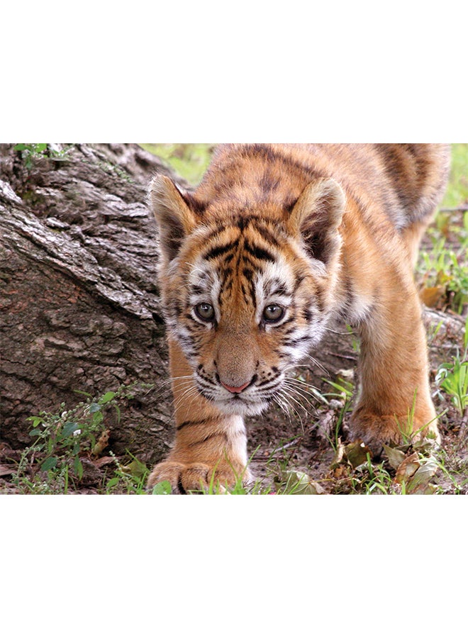 برايم 3D لعبة بازل ثلاثية الأبعاد بتصميم نمر فائق مكونة من 48 قطعة - Image 2