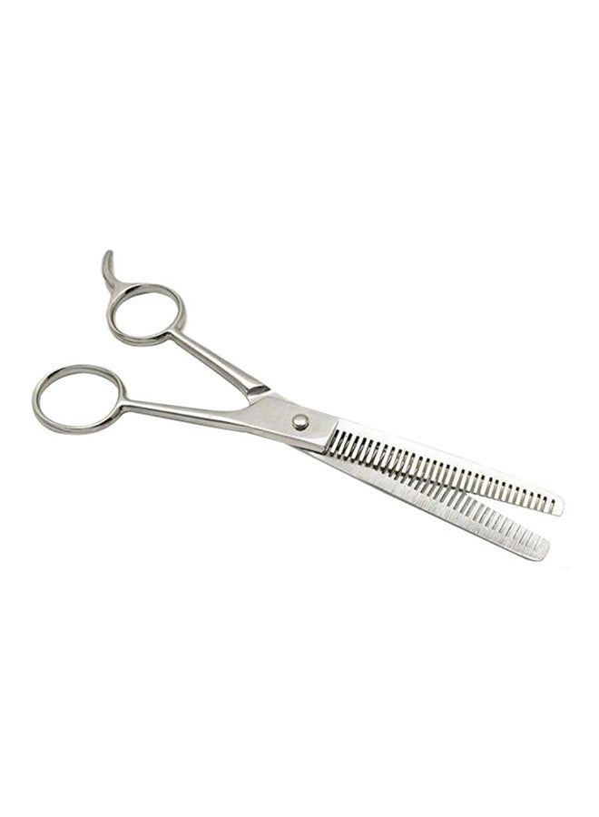 SE Hair Thinning Scissors Silver - Image 1