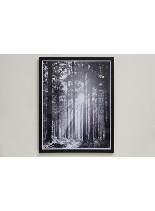 Pan Home - Trees Shadow Box Frame Black/White 70x53cm - Image 1