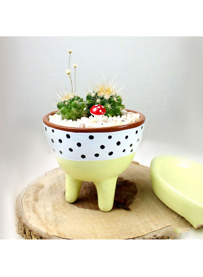 أصيص من الفخار لزراعة الصبار الطبيعي مع طبق 18x12سم