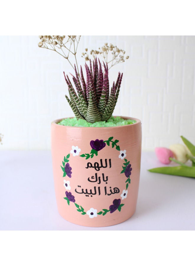 أصيص من الفخار لزراعة الصبار الطبيعي وردي 18x11سم