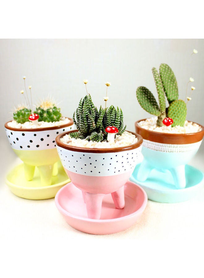 أصيص من الفخار لزراعة الصبار الطبيعي مع طبق 18x12سم