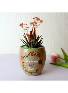 Funny Pot Natural Cactus Pottery Pot Light Brouwn 18x11cm 