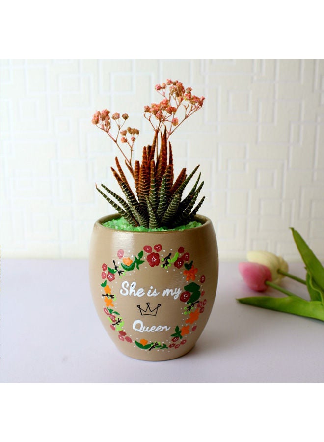 أصيص من الفخار لزراعة الصبار الطبيعي 18x11سم