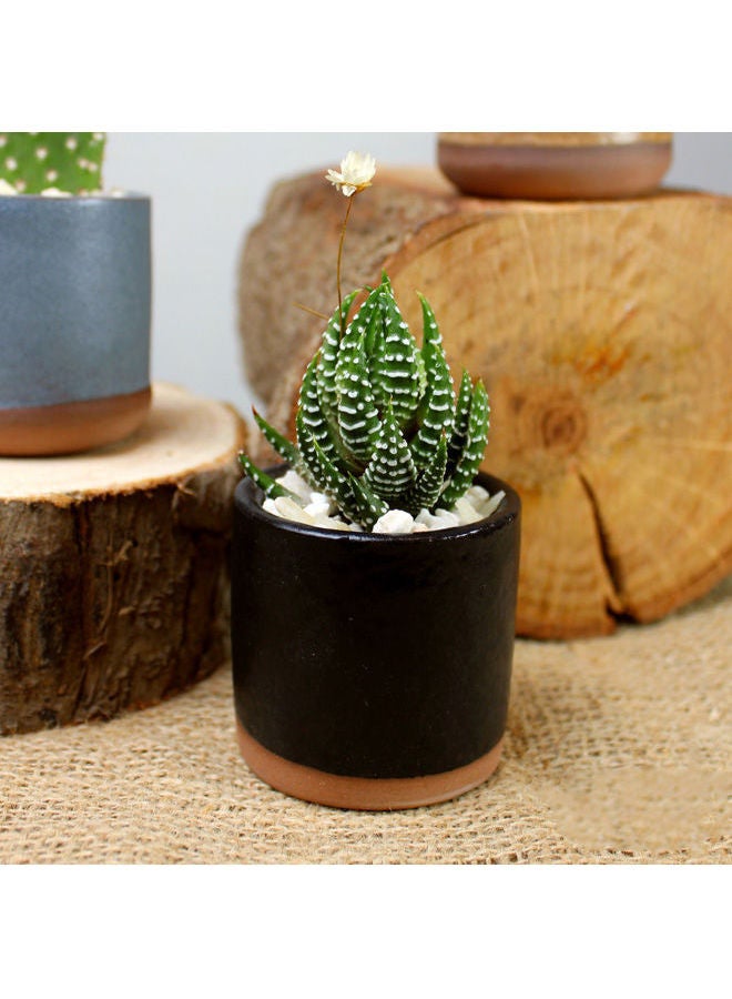 Cactus Porcalin Mini Pot Black 9x5cm - v1633247820/N51198063A_1