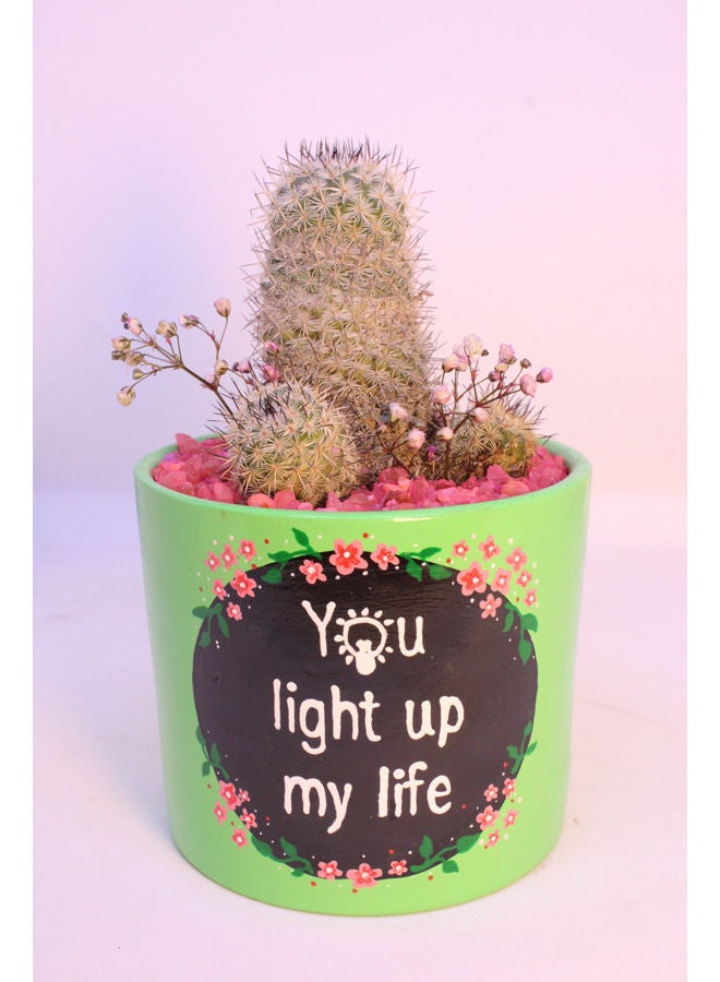 Natural Cactus Pottery Pot Black&Green 18x8cm