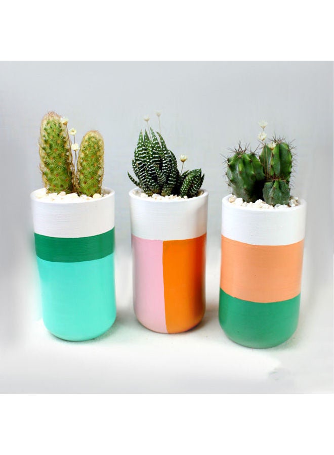 Natural Cactus Pottery Pot Different Colors 18x8cm