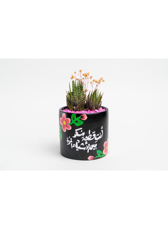 أصيص من الفخار لزراعة الصبار الطبيعي أسود 18x8سم