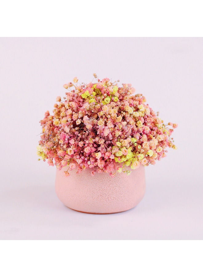 Funny Pot Preserved Natural Baby Flower Pot Pink 10x10cm