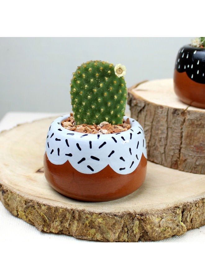 أصيص من الفخار لزراعة الصبار (دونات) رمادي 5x7سم